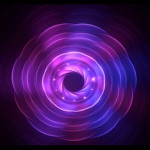 Meet your Posher, Eva